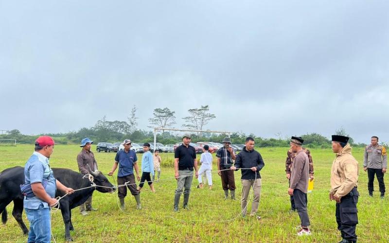 Potong 10 Ekor Hewan Qurban, SPN Polda Bengkulu Bagi Kepada Warga Sekitar