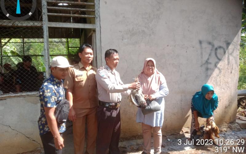 Kanit Binmas dan Bhabinkamtibmas Polsek Lebong Utara Hadiri Pembagian Ayam Program Ketahanan Pangan