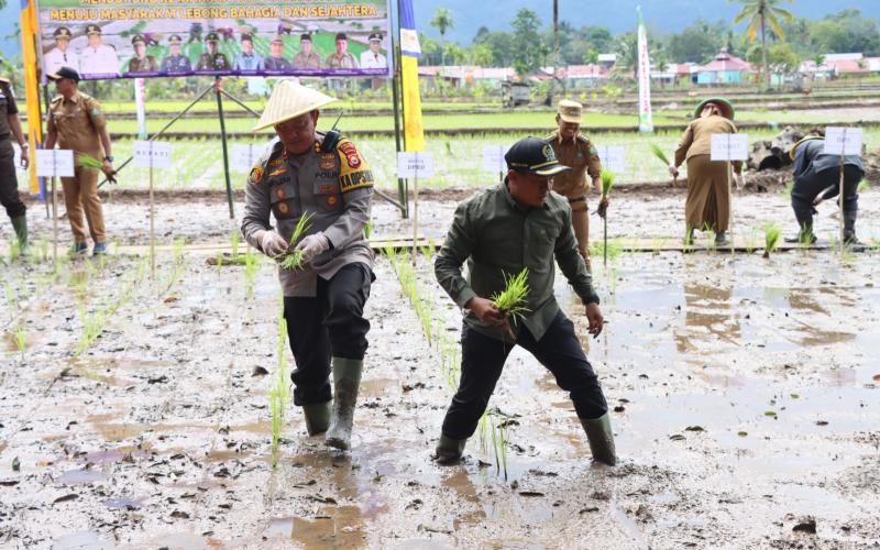 Dukung Ketahanan Pangan, Kapolres Lebong Hadiri Launching Turun Tanam MT2