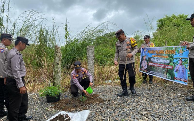 Dukung Ketahanan Pangan, Polsek Kotapadang Bagikan Bibit Pepaya ke Masyarakat
