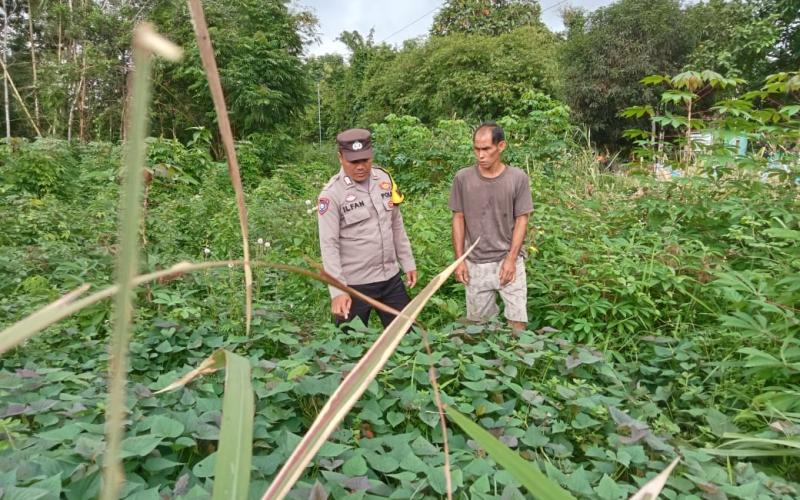 Bhabinkamtibmas Polsek Kotapadang Sambangi Warga, Sosialisasikan Pemanfaatan Lahan Pekarangan