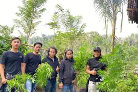 Rejang Lebong