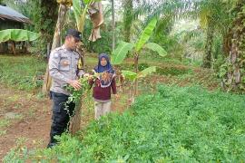 Bhabinkamtibmas Polsek Giri Mulya Sambangi Tanaman Pangan Lestari masyarakat di Desa Tanjung Anom