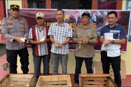 Kapolres Rejang Lebong Serahkan Bantuan Bibit Ayam Elba untuk Penanggulangan Stunting di Kecamatan Sindang Kelingi