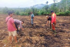 Dukung Ketahanan Pangan Nasional, Bhabinkamtibmas Polsek Lebong Atas Kawal Penanaman Jagung 1 Hektare