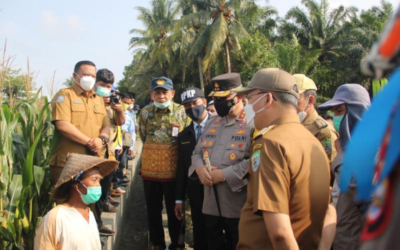 Program Padat Karya Dorong Pemulihan Ekonomi Masyarakat di Masa Pandemi