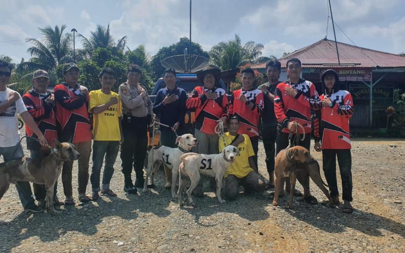 Perburuan Hama Babi Massal di  Bengkulu Selatan Dimulai