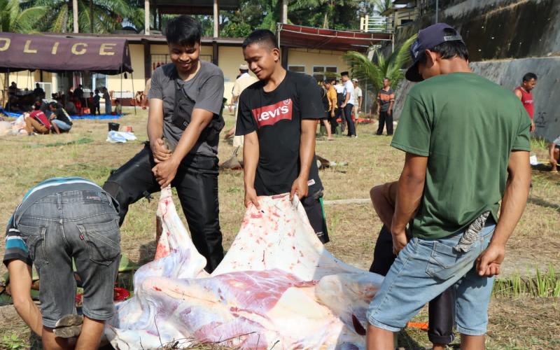 Rayakan Idul Adha 1444 H Tahun 2023, Polres Bengkulu Utara Sembelih 9 Ekor sapi dan 1 Ekor Kambing 
