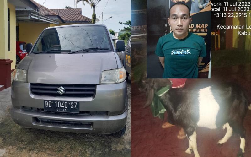Pencuri Ternak Beraksi di Lebong, Mobil APV dan 1 Ekor Kambing Diamankan Polisi