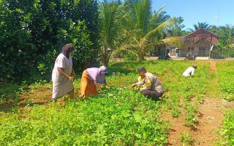 Polsek Giri Mulya Sambangi Tanaman Pangan Lestari di Desa Suka Makmur