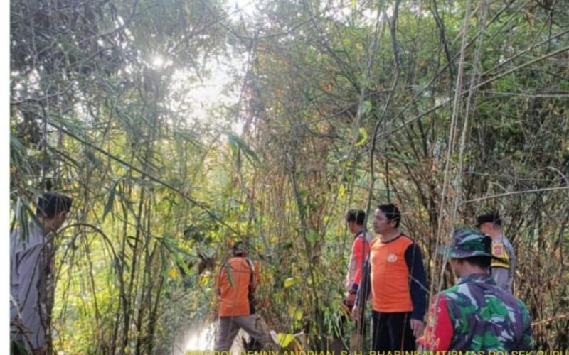 Sinergi Bersama, TNI/Polri Bersama Damkar Berhasil Jinakkan Si Jago Merah