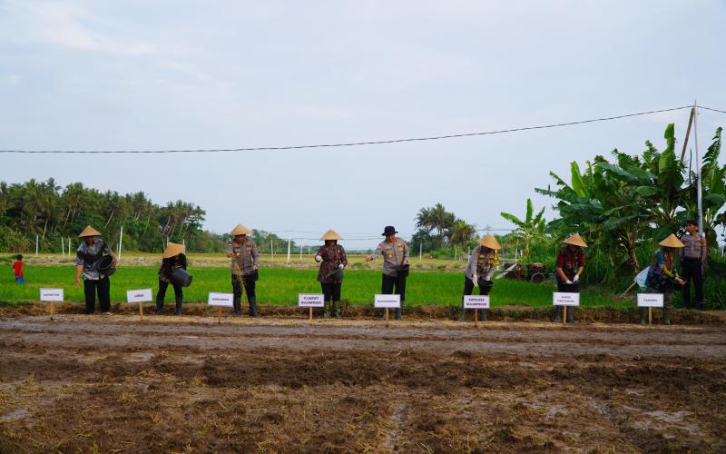 Dukung Ketahanan Pangan Nasional, Kakorbinmas Baharkam Polri Semai Padi di Kulonprogo