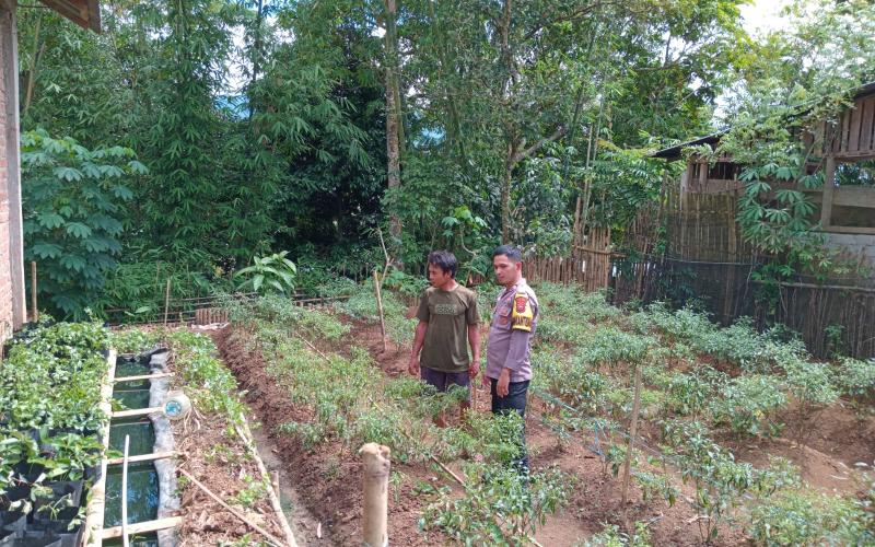 Dukung Ketahanan Pangan, Bhabinkamtibmas Polsek Lebong Utara Monitoring Pemanfaatan Lahan
