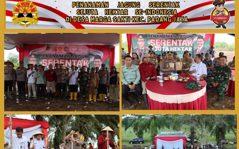 Polres Bengkulu Utara Gelar Zoom Meeting Penanaman Jagung Serentak, Dukung Program Ketahanan Pangan Nasional