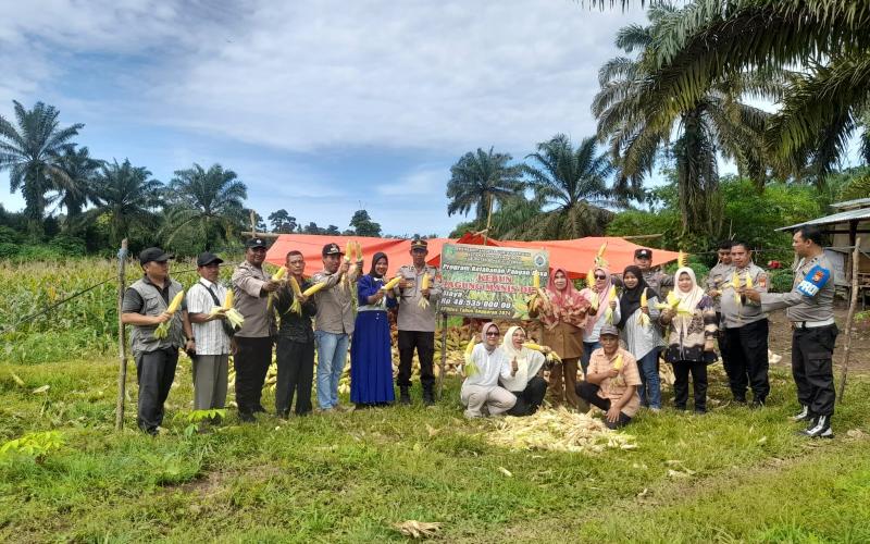 Polres Bengkulu Tengah Dukung Ketahanan Pangan Lewat Pendampingan Petani Jagung