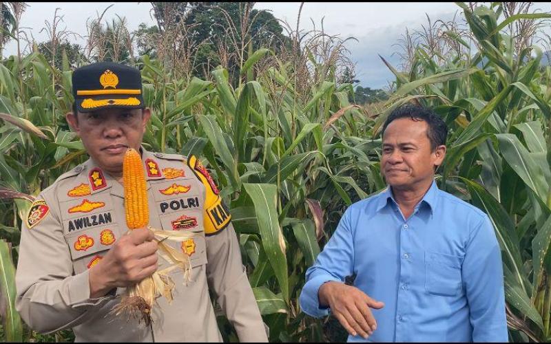 Dalam Mendukung Program Asta Cita Ketahanan Pangan Polres Lebong Dan Polsek Jajaran Melaksanakan Penanaman Jagung