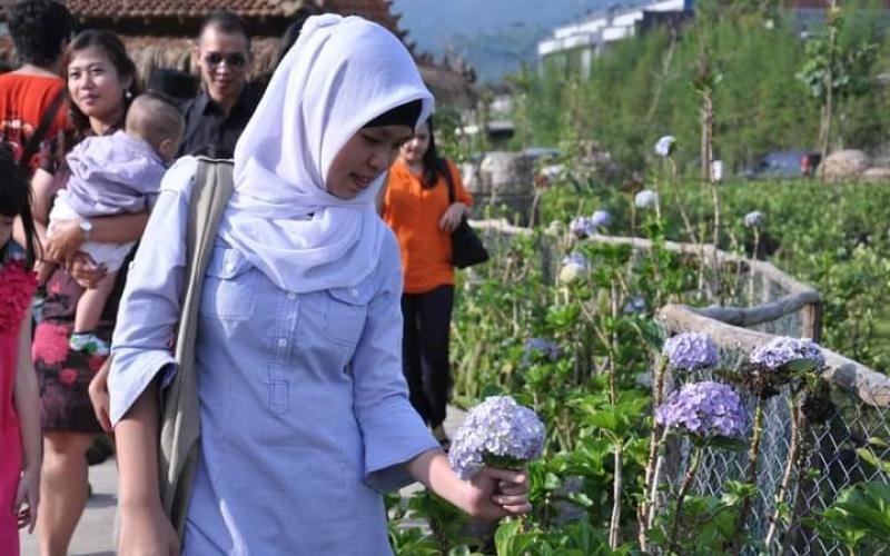 Implementasi Fintech dalam Perbankan Syariah: Peluang dan Tantangan di Era Digital