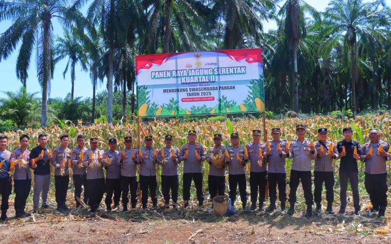 Kapolres Bengkulu Selatan Gelar Panen Raya Jagung Kuartal II Serentak, Dukung Program Asta Cita Bapak Presiden Prabowo