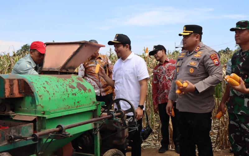 TNI-Polri dan Pemda Bersatu Wujudkan Swasembada Pangan di Bengkulu Utara