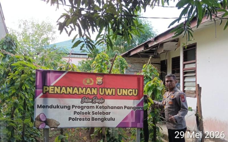 Polsek Selebar Laksanakan Penanaman Jagung Serentak Kuartal II Tahun 2026 dan Perawatan Uwi Ungu