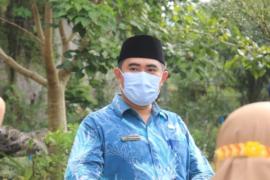 Cuaca Ekstrem, Ini Strategi DLH Terkait Insiden Pohon Tumbang