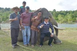 Gubernur Rohidin Dukung Hapus Izin Tambang di TWA Seblat