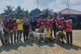 Perburuan Hama Babi Massal di  Bengkulu Selatan Dimulai