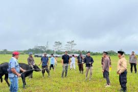 Potong 10 Ekor Hewan Qurban, SPN Polda Bengkulu Bagi Kepada Warga Sekitar