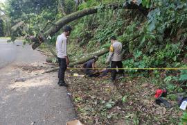 Gotong Royong Personel Polsek Air Besi Bersama Warga Membersihkan Pohon Tumbang 