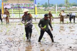 Dukung Ketahanan Pangan, Kapolres Lebong Hadiri Launching Turun Tanam MT2