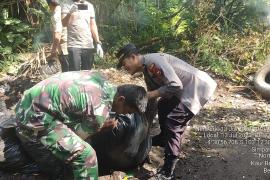 Polsek Kaur Utara