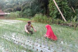Polsek Giri Mulya 