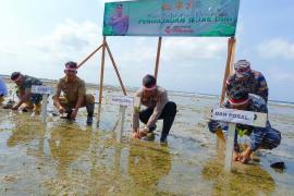 Polsek Enggano Ikuti Program Polri Penanaman Pohon Serentak 