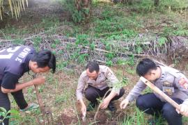 Penanaman Pohon Menjadi Upaya Polsek Giri Mulya untuk Penghijauan dan Kelestarian Lingkungan