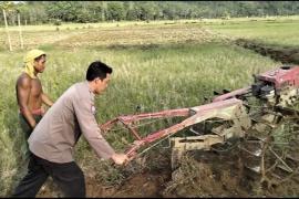 Dukung Ketahanan Pangan, Bhabinkamtibmas Ikut Membajak Sawah