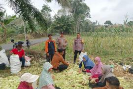Empati pada Masyarakat, Polsek Padang Jaya Gelar Minggu Kasih