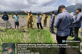 Satgassus Pencegahan Korupsi Polri lakukan Monev Di Nusa Tenggara Timur