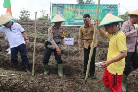 Polres Rejang Lebong Laksanakan Penanaman Bibit Jagung untuk Mendukung Program Ketahanan Pangan Nasional