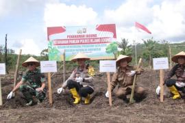 Kapolres Rejang Lebong Pimpin Penanaman Jagung di Desa Pungguk Lalang dalam Mendukung Program Ketahanan Pangan Nasional
