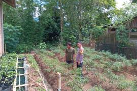 Dukung Ketahanan Pangan, Bhabinkamtibmas Polsek Lebong Utara Monitoring Pemanfaatan Lahan