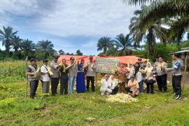 Polres Bengkulu Tengah Dukung Ketahanan Pangan Lewat Pendampingan Petani Jagung