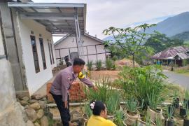 Sambang Ketahanan Pangan, Bhabinkamtibmas Monitoring Tanaman Pangan di Desa Karang Dapo AtasSambang Ketahanan Pangan, Bhabinkamtibmas Monitoring Tanaman Pangan di Desa Karang Dapo Atas