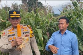 Dalam Mendukung Program Asta Cita Ketahanan Pangan Polres Lebong Dan Polsek Jajaran Melaksanakan Penanaman Jagung