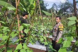 Bhabinkamtibmas Polsek PU. Tanding Sambangi Warga, Dukung Ketahanan Pangan