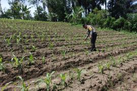 Bhabinkamtibmas Polsek Selupu Rejang Sambangi Petani, Dukung Ketahanan Pangan Nasional