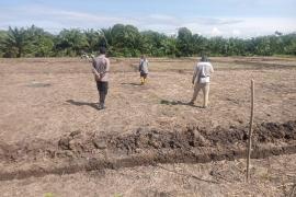 Polsek Sukaraja Dukung Ketahanan Pangan, Pantau Perkembangan Jagung di Desa Riak SiabunPolsek Sukaraja Dukung Ketahanan Pangan, Pantau Perkembangan Jagung di Desa Riak Siabun