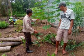 Polsek Kota Padang Pantau Pemanfaatan Lahan Tidur untuk Ketahanan Pangan