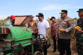 TNI-Polri dan Pemda Bersatu Wujudkan Swasembada Pangan di Bengkulu Utara