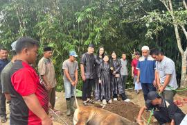  Polres Lebong Salurkan Qurban 6 Ekor Sapi Untuk Masyarakat