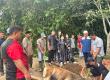  Polres Lebong Salurkan Qurban 6 Ekor Sapi Untuk Masyarakat